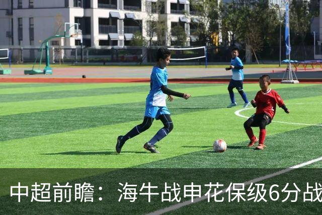 中超前瞻：海牛战申花保级6分战 辽宁德比成卡位大战